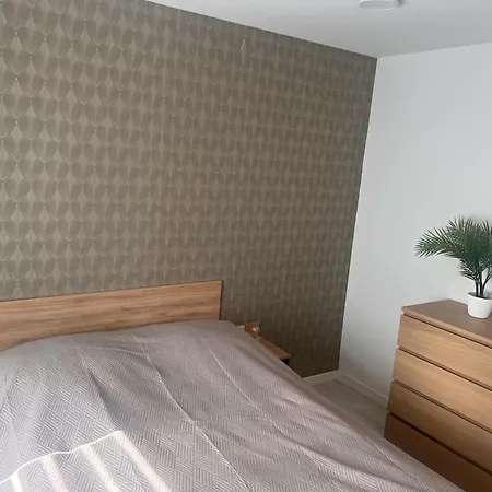 Apartamento Bujdoso House *